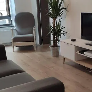 Appartement Logement 5 Personnes Proche Cv Et Parking Prive, Saint-Etienne (Loire)